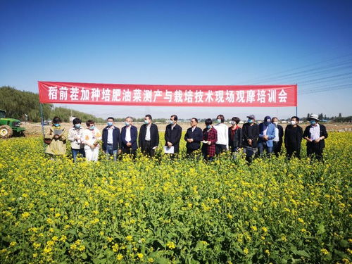 飼料綠肥油菜種植加工綜合利用關(guān)鍵技術(shù)研究與示范現(xiàn)場觀摩會成功舉辦，助推種植技術(shù)開發(fā)與集成應(yīng)用