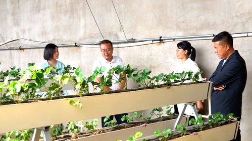 科技興農(nóng)繪藍圖 縣委書記楊家佳深入調(diào)研，擘畫鄉(xiāng)村產(chǎn)業(yè)振興新路徑