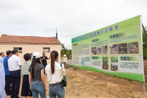 綠富雙贏 全市林下經(jīng)濟產(chǎn)業(yè)發(fā)展觀摩活動暨種植技術(shù)開發(fā)新篇章