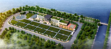 青島海水稻研發(fā)中心揭牌，首代稻種預計11月問世，技術(shù)開發(fā)引領農(nóng)業(yè)新篇章